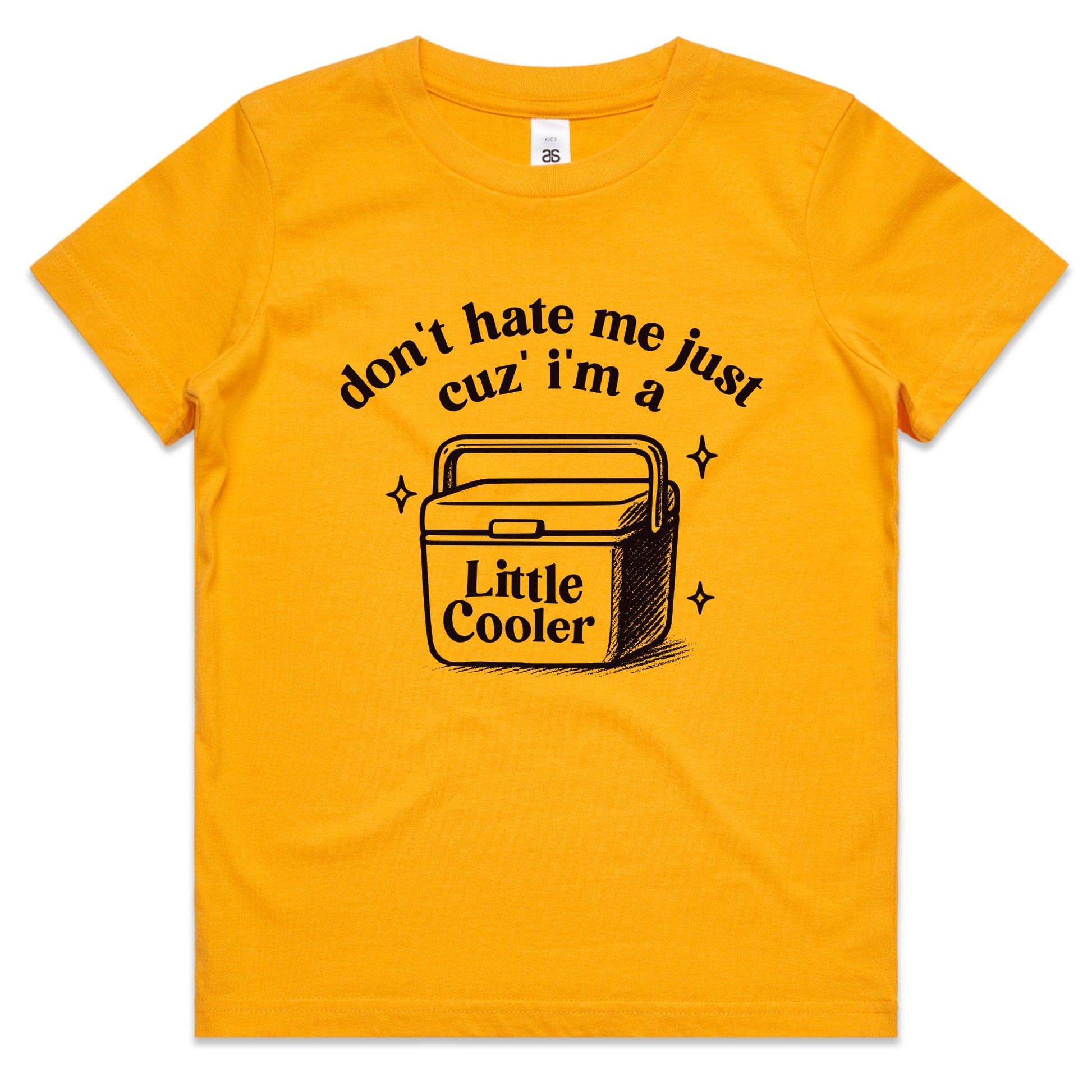 Don't Hate Me Cuz I'm A Little Cooler Youth Tee – Funny BBQ Joke Shirt for Kids