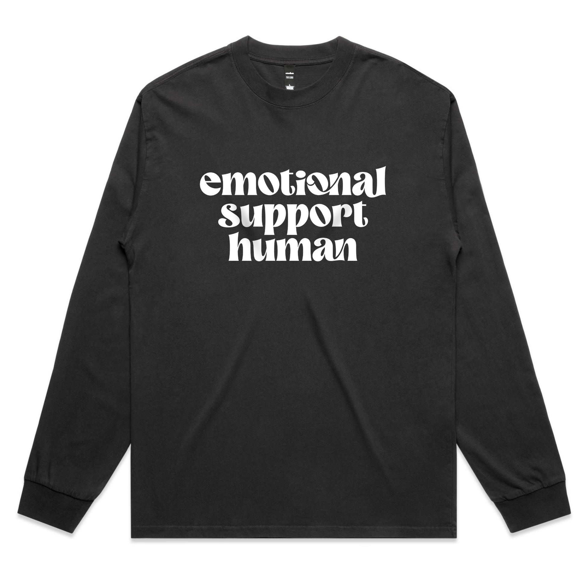 Emotional Support Human – Minimal Mental Health Graphic Shirt with Cozy Vibe – Faded L/S